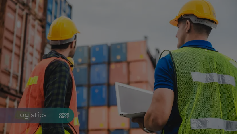 Inspecting an import shipment