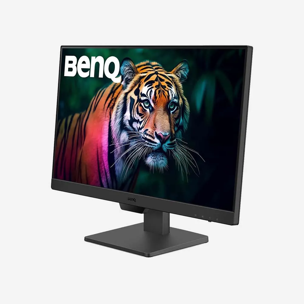 BenQ GW2490 24 inch LCD Monitor with Eye Care Technology
