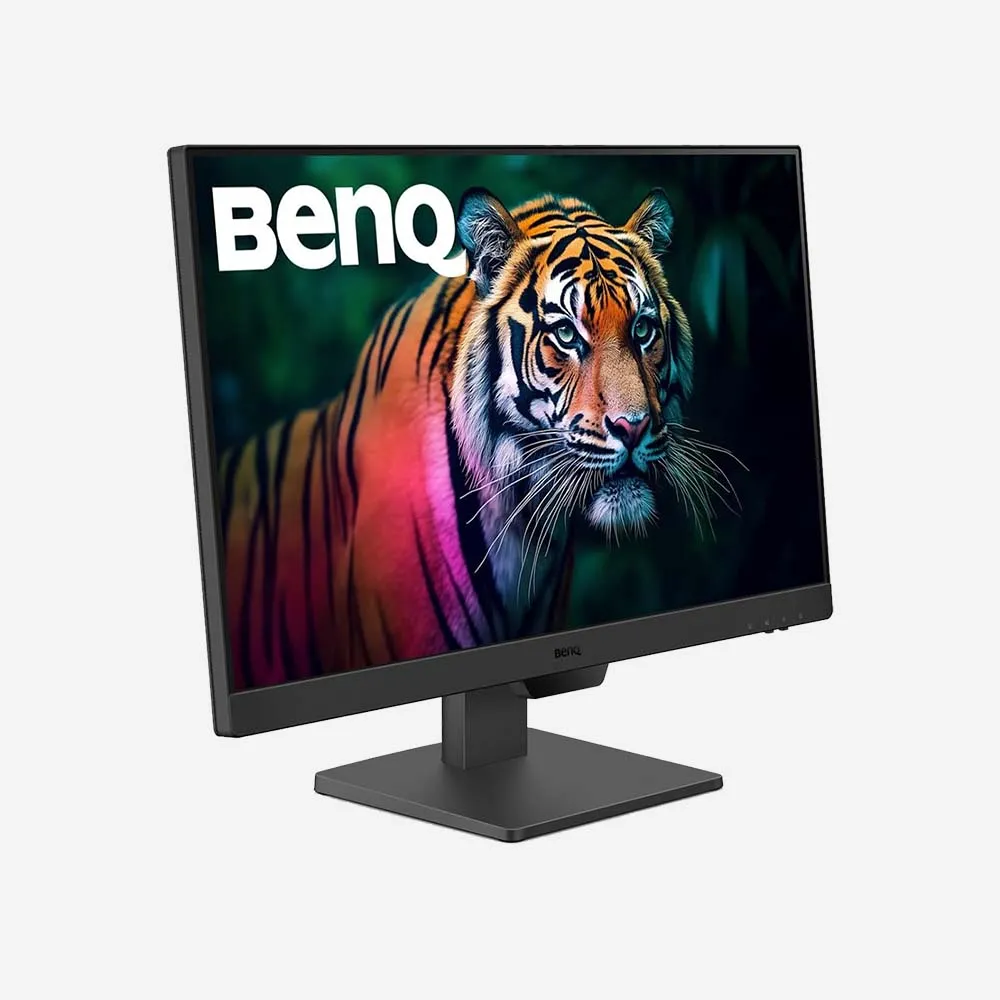 BenQ GW2490 24 inch LCD Monitor with Eye Care Technology