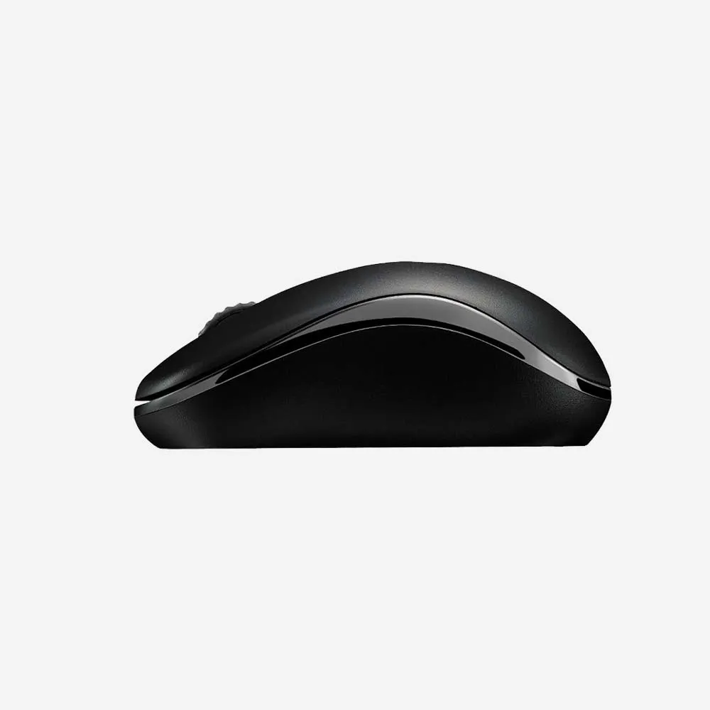 Rapoo M10 Plus Wireless Mouse (Black)